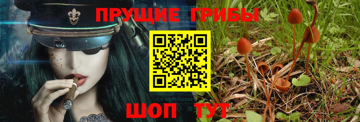 Галлюциногенные грибы Magic Shrooms Изобильный
