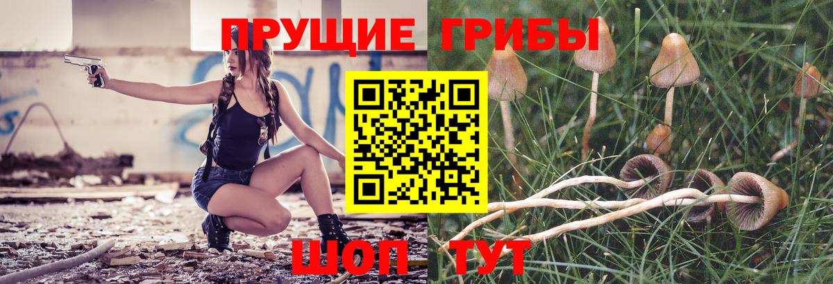 Псилоцибиновые грибы ЛСД  Псилоцибиновые грибы MAGIC MUSHROOMS  Вход с VPN  Изобильный 